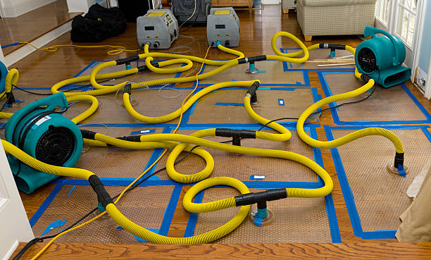 Professional Crawl Space Water Removal technician working in Bailey, MI